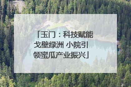 玉门：科技赋能戈壁绿洲 小院引领蜜瓜产业振兴