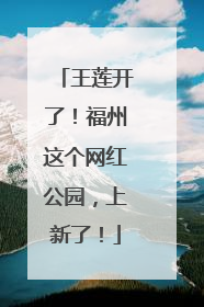 王莲开了！福州这个网红公园，上新了！