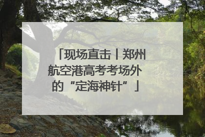 现场直击丨郑州航空港高考考场外的“定海神针”