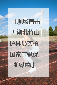现场直击！湖北竹山护林员实拍国家二级保护动物