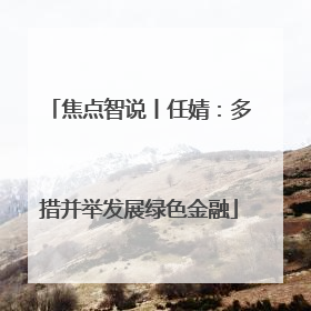 焦点智说丨任婧：多措并举发展绿色金融