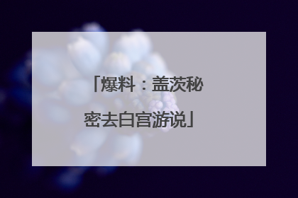 爆料：盖茨秘密去白宫游说