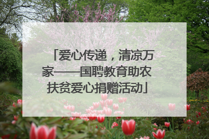 爱心传递，清凉万家——国聘教育助农扶贫爱心捐赠活动