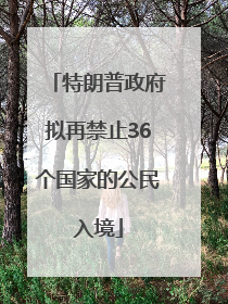 特朗普政府拟再禁止36个国家的公民入境