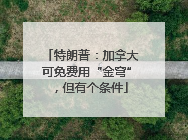 特朗普：加拿大可免费用“金穹”，但有个条件
