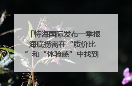 特海国际发布一季报 海底捞需在“质价比”和“体验感”中找到平衡｜新经济观察