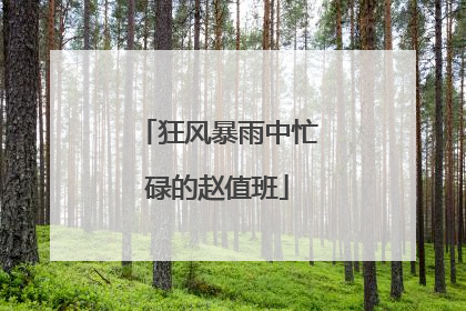 狂风暴雨中忙碌的赵值班