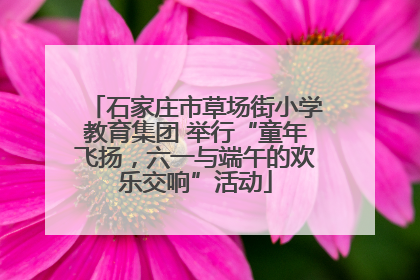 石家庄市草场街小学教育集团 举行“童年飞扬，六一与端午的欢乐交响”活动