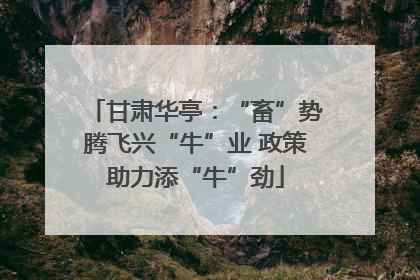 甘肃华亭：“畜”势腾飞兴“牛”业 政策助力添“牛”劲