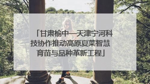 甘肃榆中—天津宁河科技协作推动高原夏菜智慧育苗与品种革新工程
