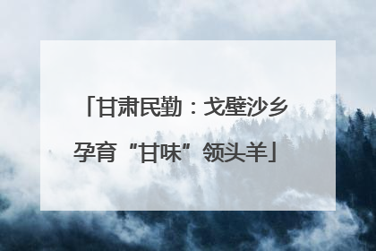 甘肃民勤：戈壁沙乡孕育“甘味”领头羊