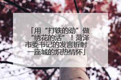 用“打铁的劲”做“绣花的活”！菏泽市委书记的发言折射一座城的炽热情怀