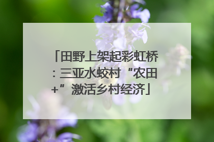 田野上架起彩虹桥：三亚水蛟村“农田+”激活乡村经济
