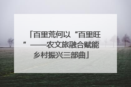 百里荒何以“百里旺”——农文旅融合赋能乡村振兴三部曲