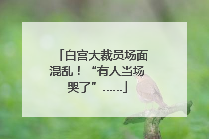 白宫大裁员场面混乱！“有人当场哭了”……