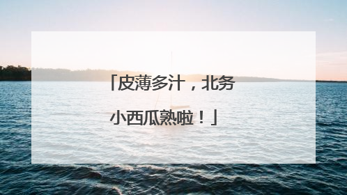 皮薄多汁，北务小西瓜熟啦！