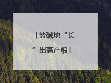 盐碱地“长”出高产粮