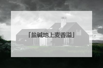 盐碱地上麦香溢
