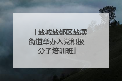 盐城盐都区盐渎街道举办入党积极分子培训班