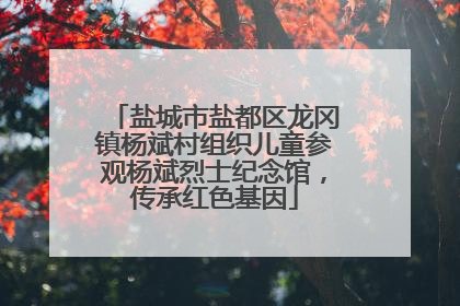 盐城市盐都区龙冈镇杨斌村组织儿童参观杨斌烈士纪念馆，传承红色基因