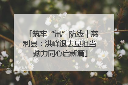 筑牢“汛”防线｜慈利县：洪峰退去显担当 勠力同心启新篇