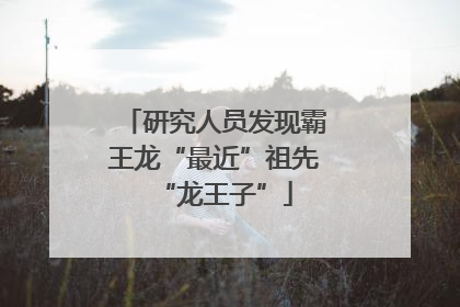 研究人员发现霸王龙“最近”祖先“龙王子”