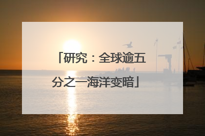 研究：全球逾五分之一海洋变暗