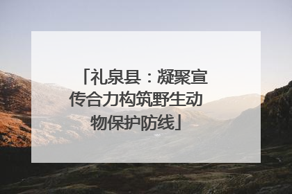 礼泉县：凝聚宣传合力构筑野生动物保护防线