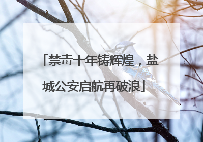 禁毒十年铸辉煌，盐城公安启航再破浪