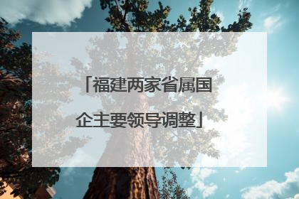 福建两家省属国企主要领导调整