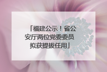 福建公示！省公安厅两位党委委员拟获提拔任用