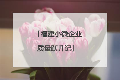 福建小微企业质量跃升记