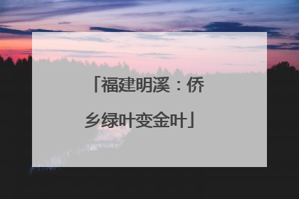 福建明溪：侨乡绿叶变金叶
