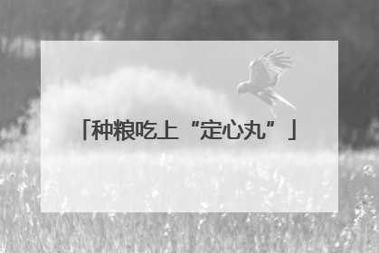 种粮吃上“定心丸”