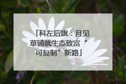 科左后旗：月见草铺就生态致富“可复制”新路