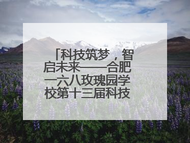 科技筑梦，智启未来——合肥一六八玫瑰园学校第十三届科技节机器人系列体验赛燃动校园
