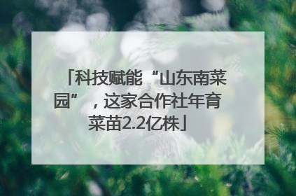 科技赋能“山东南菜园”，这家合作社年育菜苗2.2亿株