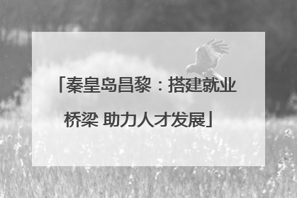 秦皇岛昌黎：搭建就业桥梁 助力人才发展