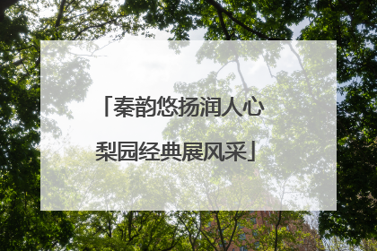 秦韵悠扬润人心 梨园经典展风采