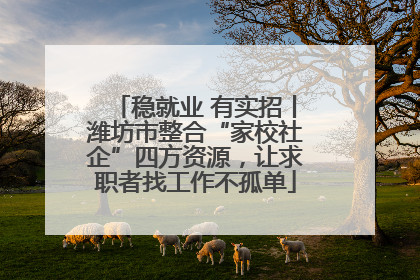 稳就业 有实招丨潍坊市整合“家校社企”四方资源，让求职者找工作不孤单