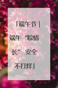 端午节｜端午“粽情长” 安全不打烊