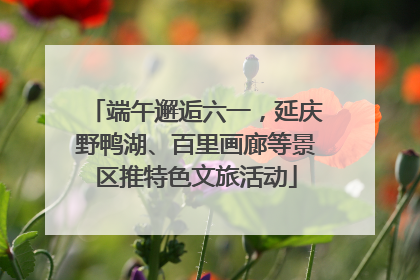 端午邂逅六一，延庆野鸭湖、百里画廊等景区推特色文旅活动