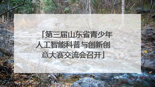 第三届山东省青少年人工智能科普与创新创意大赛交流会召开