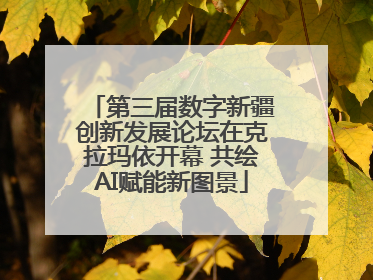 第三届数字新疆创新发展论坛在克拉玛依开幕 共绘AI赋能新图景