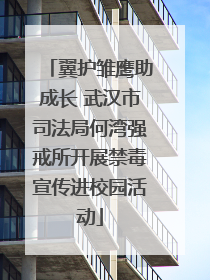 翼护雏鹰助成长 武汉市司法局何湾强戒所开展禁毒宣传进校园活动