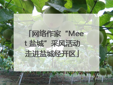 网络作家“Meet 盐城”采风活动走进盐城经开区