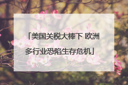 美国关税大棒下 欧洲多行业恐陷生存危机
