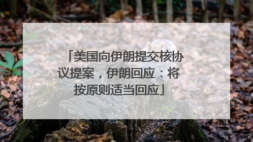 美国向伊朗提交核协议提案，伊朗回应：将按原则适当回应