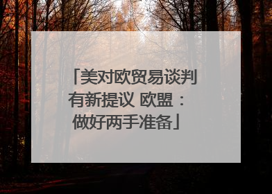 美对欧贸易谈判有新提议 欧盟：做好两手准备