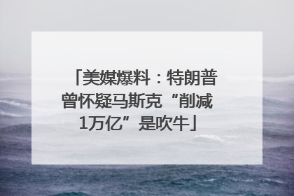 美媒爆料：特朗普曾怀疑马斯克“削减1万亿”是吹牛
